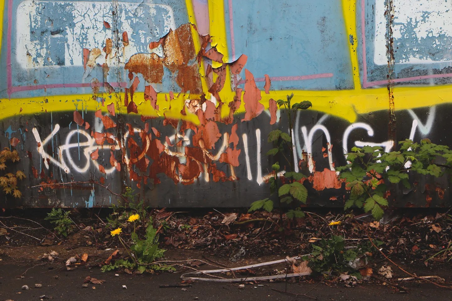 Keep Smiling graffiti on a crumbling painted wall with weeds growing at the base. Photograph by Juno Pratt, 2025.